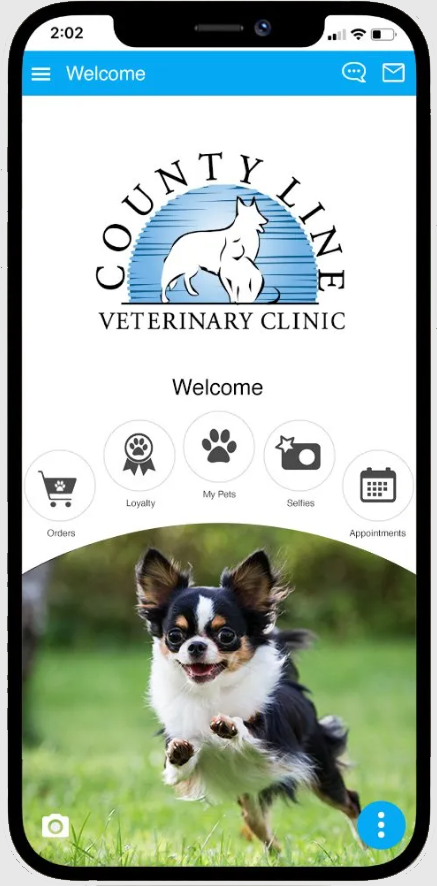 Veterinarian in New Braunfels